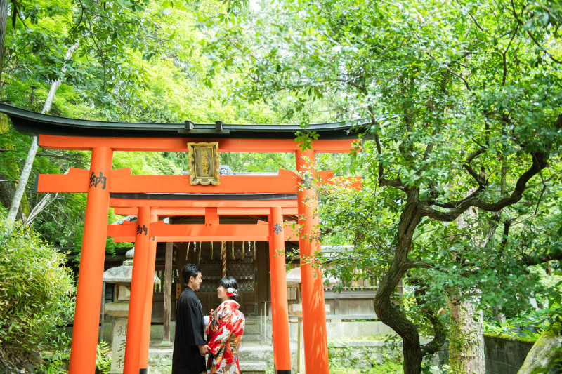 木漏れ日の中で