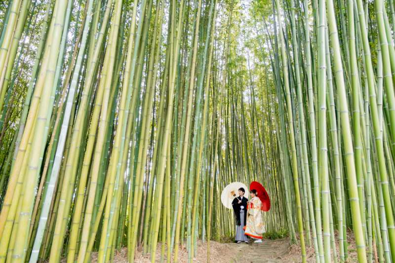 竹の感じがとても素敵