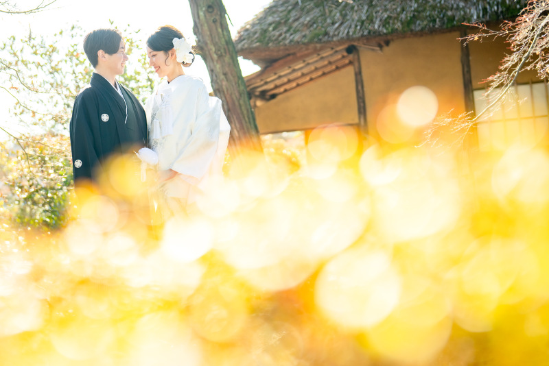 光が差し込んできました