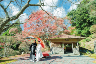 特別な庭園で撮影