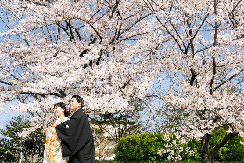 鴨川良い点は。。。