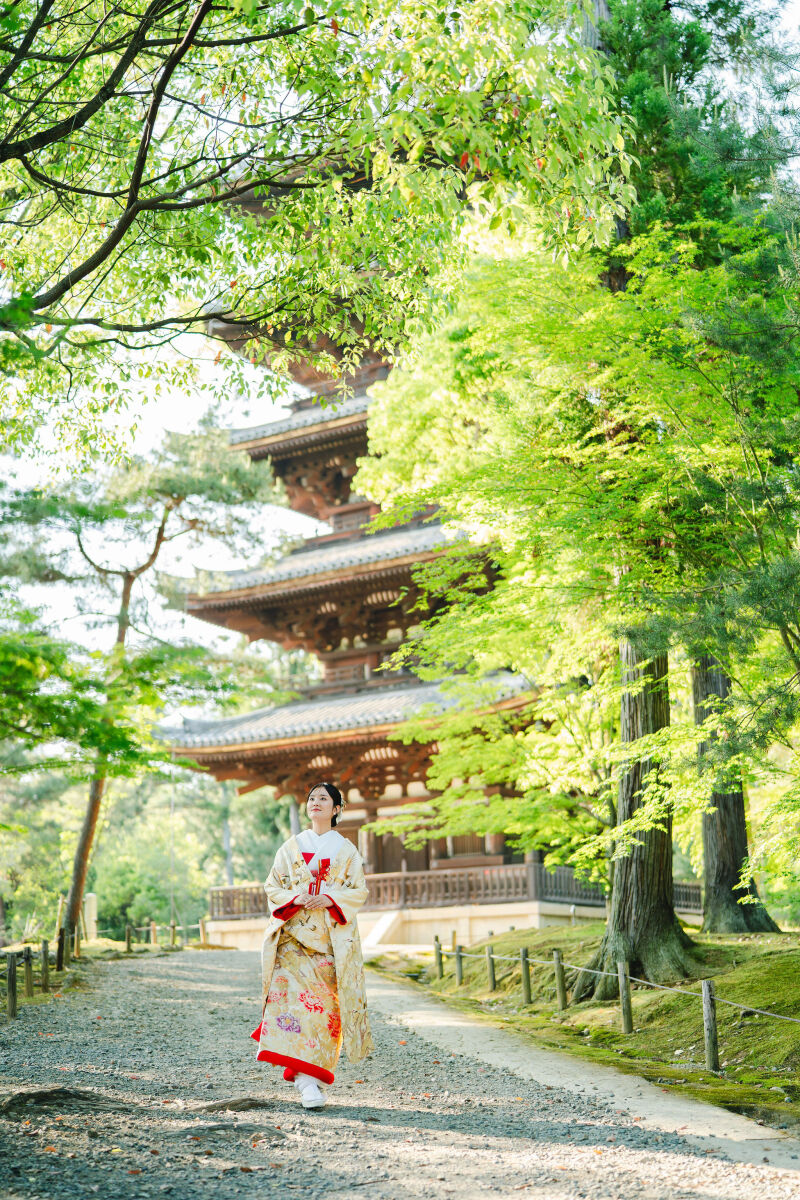 新緑や深緑の季節にぴったり