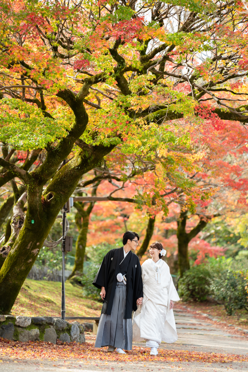 紅葉のグラデーション