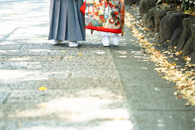 秋が始まってます