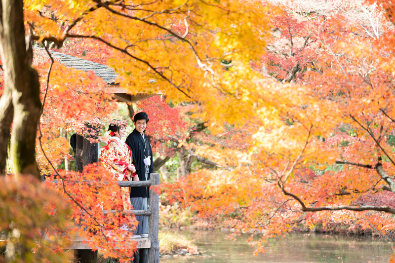 秋の前撮り紅葉づくし