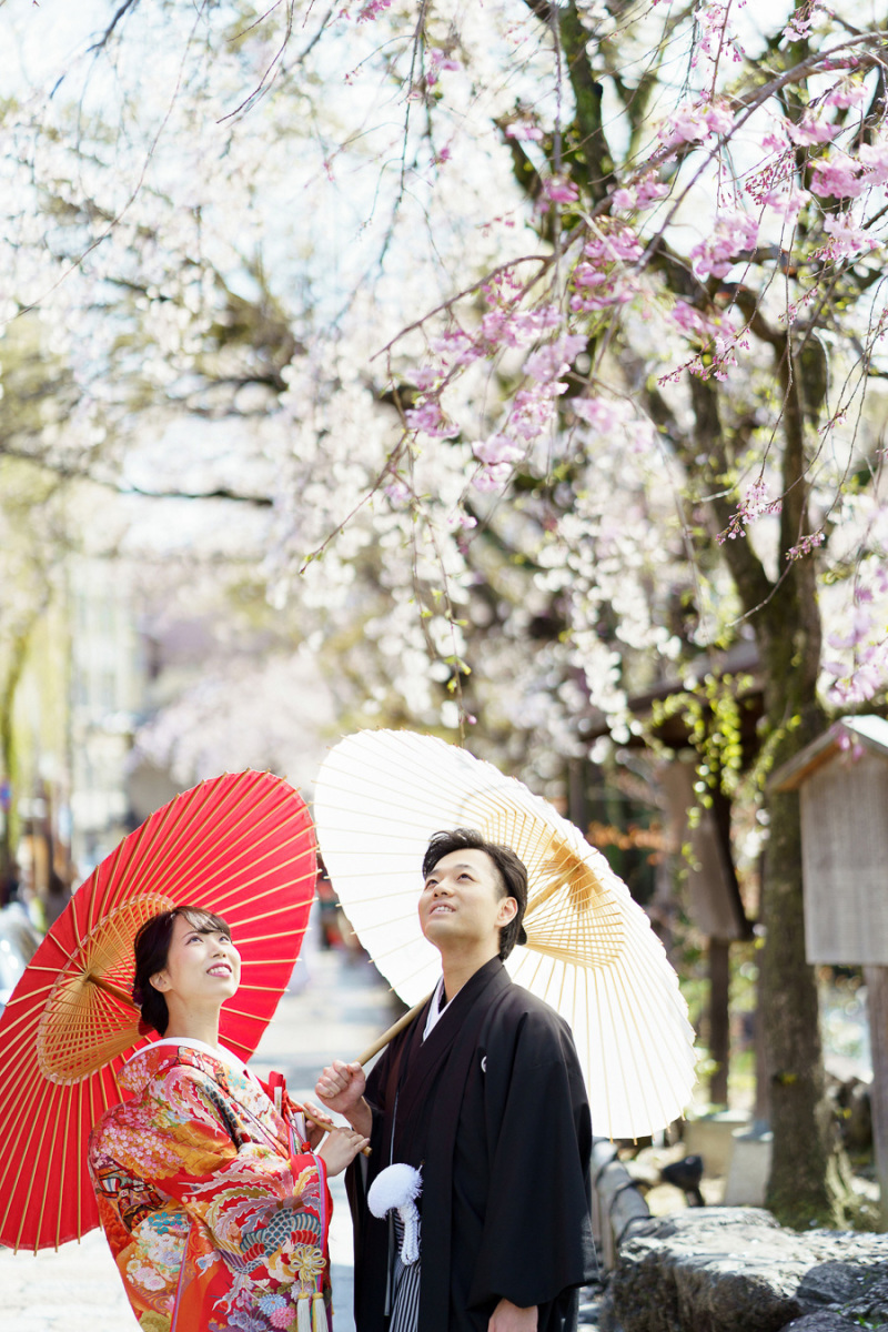 今年もきれいな桜