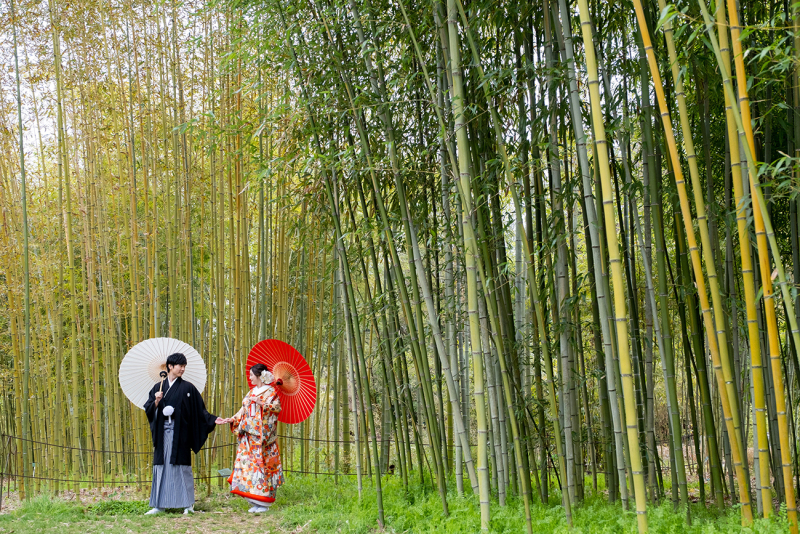竹林での撮影も