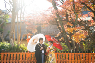 秋晴れ　木漏れ日