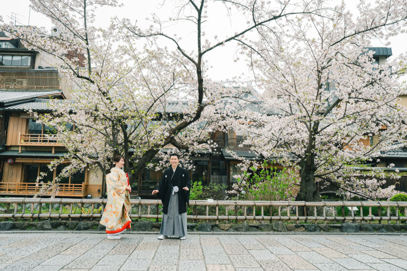 祇園の桜