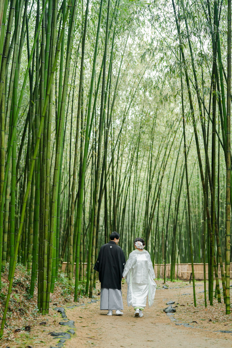 白無垢と竹林
