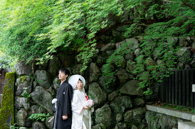 深い深いみどり色