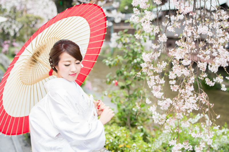 桜の時期のご予約について