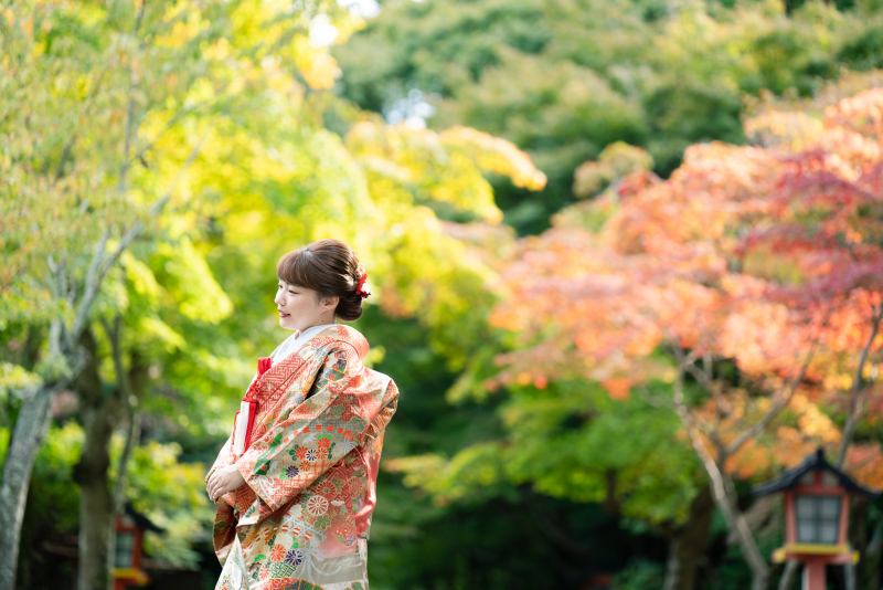 ロケーションと色打掛