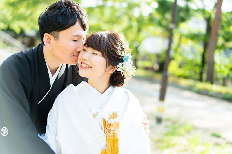 緑のコントラストが綺麗に