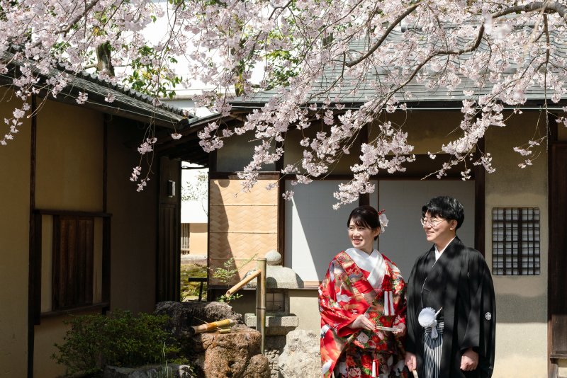 桜の金戒光明寺