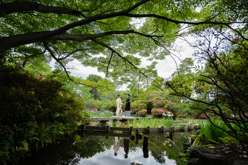 広いイメージでも