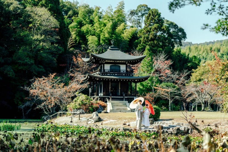 広いイメージも