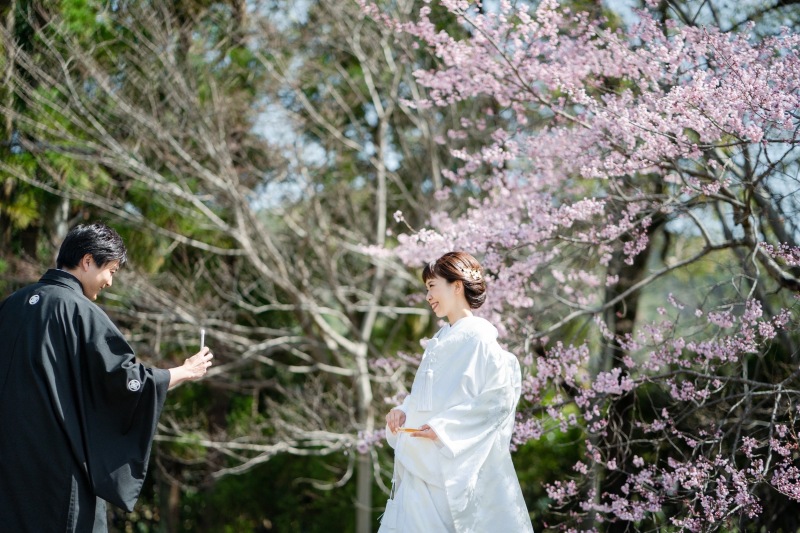 もうひとりのカメラマン