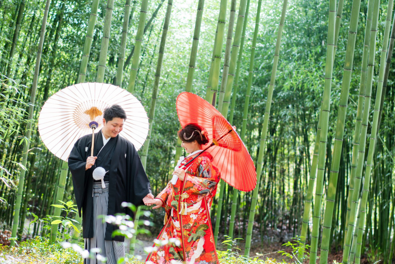 グリーンが綺麗