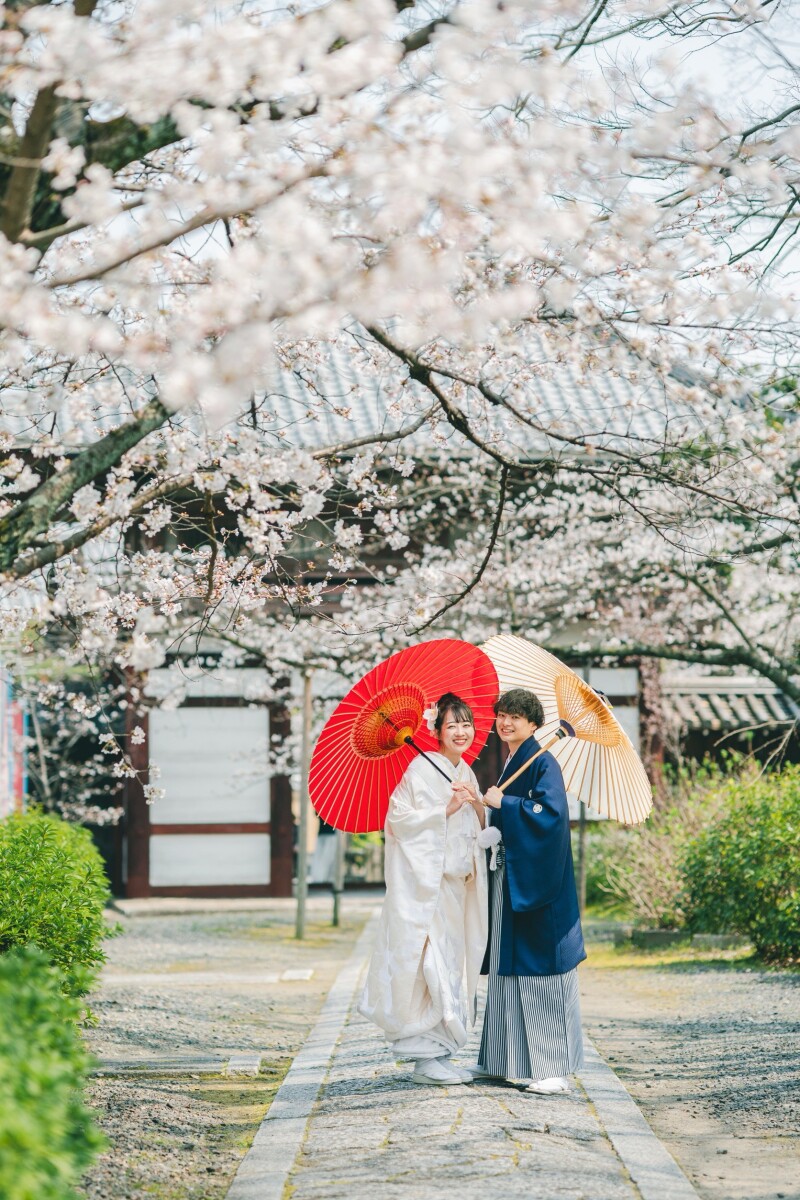 桜咲いていました！