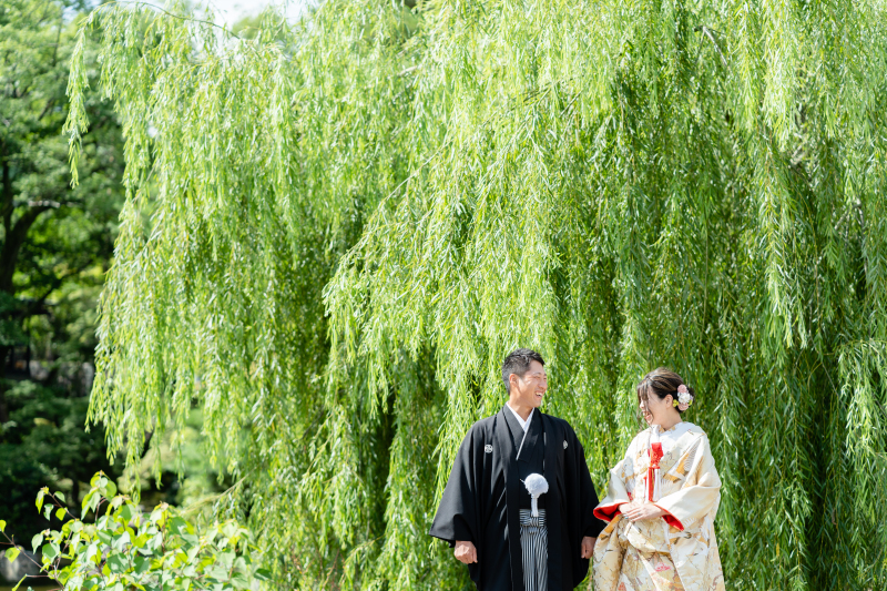 青々とした柳の下で