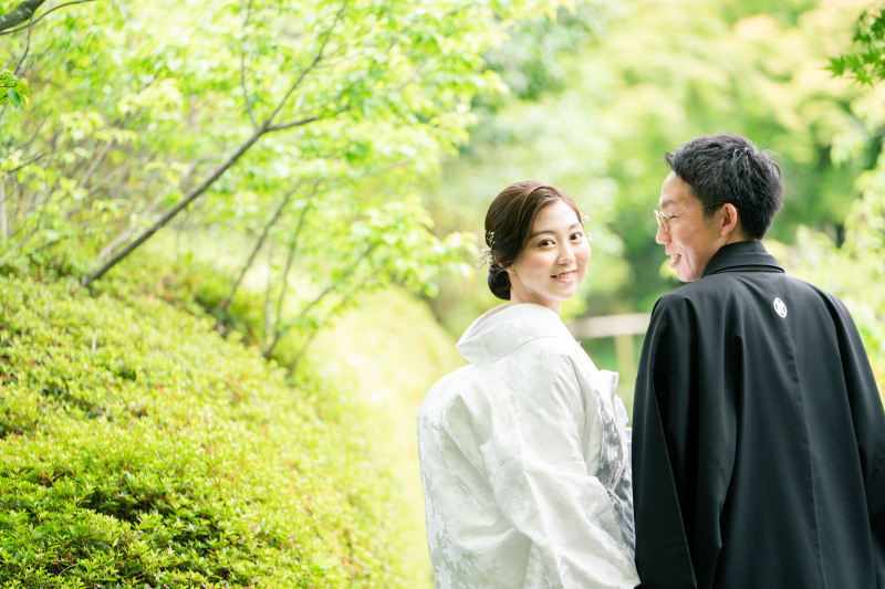 とにかく緑は綺麗です