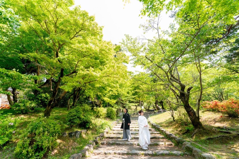 おしゃれな写真も