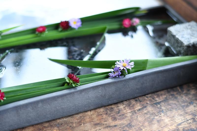 お寺の中の生け花