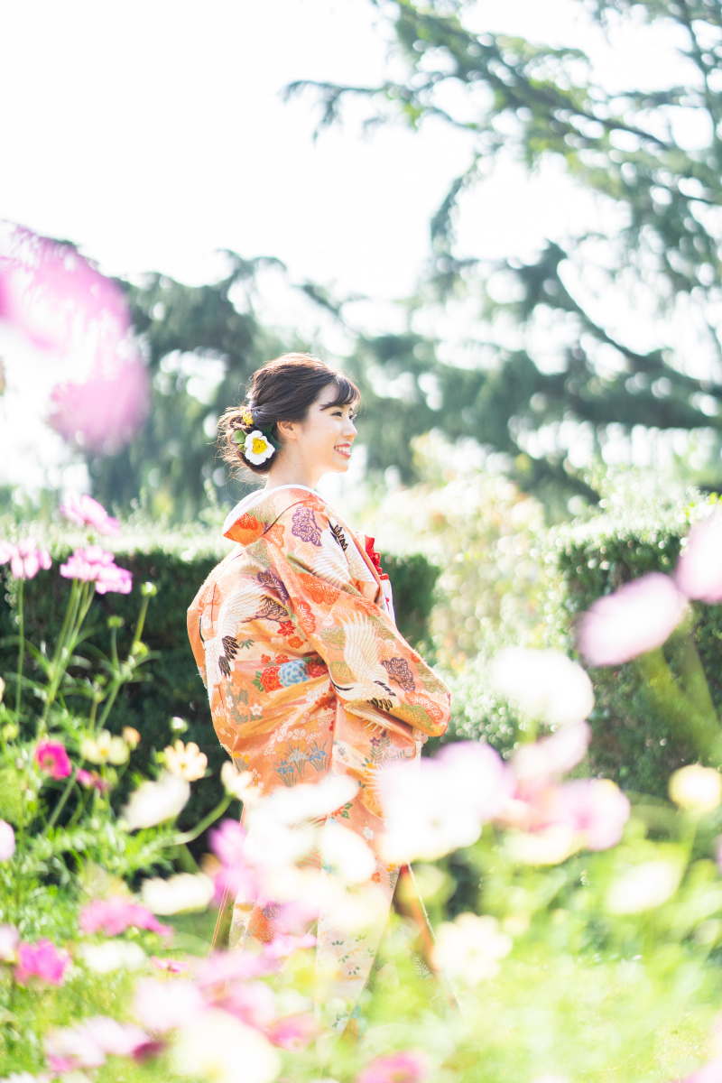 コスモスの中で