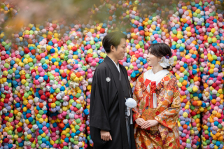 京都周遊プラン