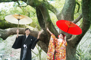 たまには、こんな感じも