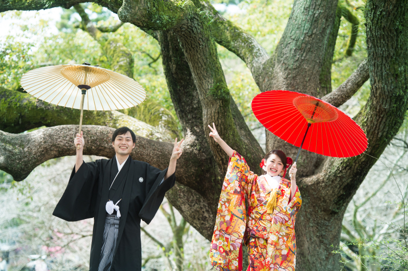 たまには、こんな感じも