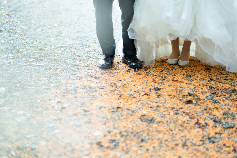 ドレスにお着替えてして