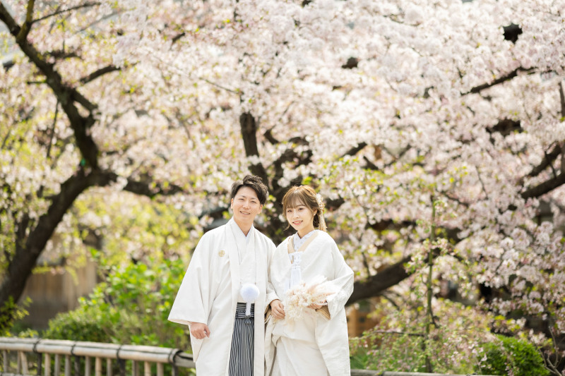 京都の桜はとても綺麗でした！