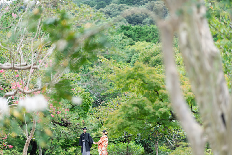 グレードアップ