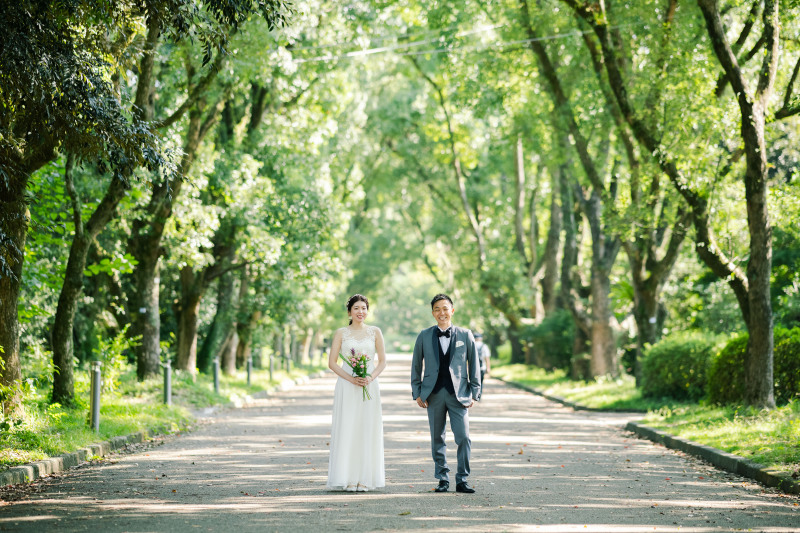 木漏れ日溢れる一日