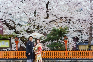 祇園と桜ロケ