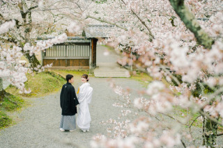 桜前撮り