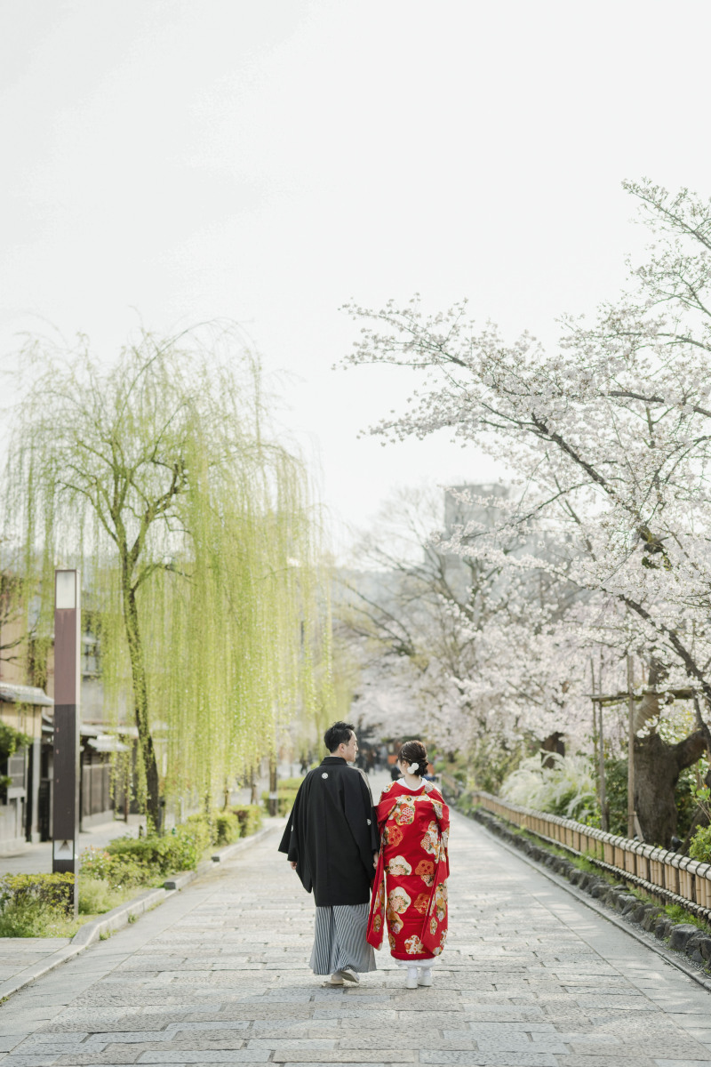 道なりに咲く桜