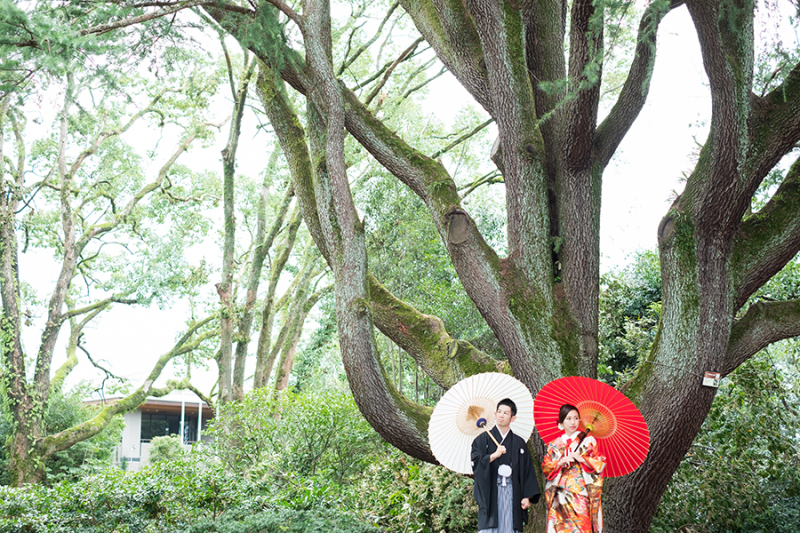 絵になる風景、絵になる二人で