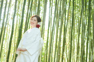 竹林で和装撮影