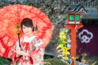 １２月末も撮影します