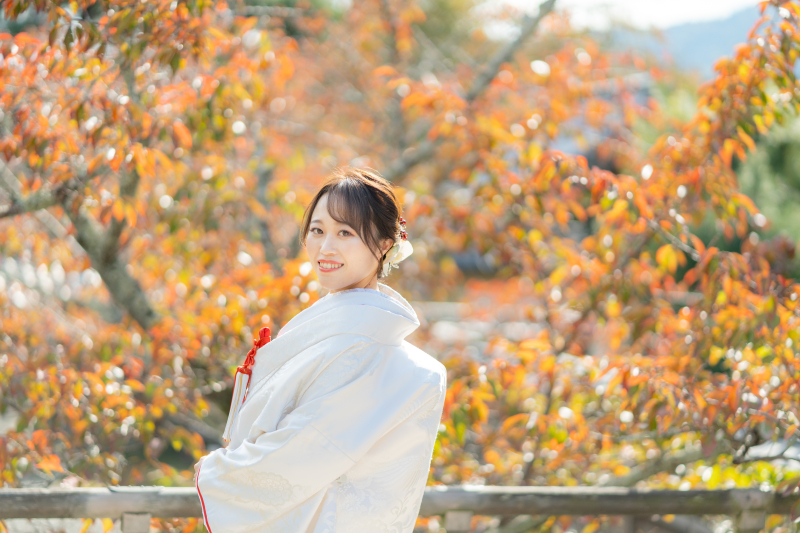 桜の葉