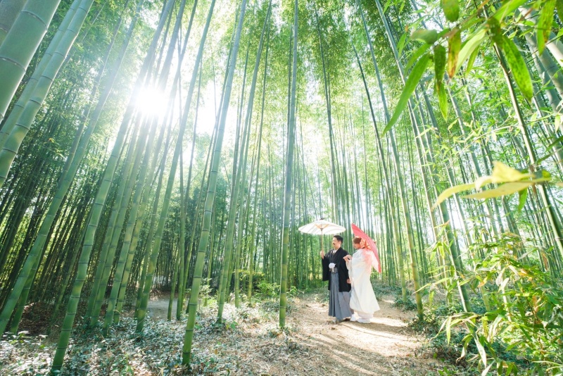 意外と広い竹林スペース