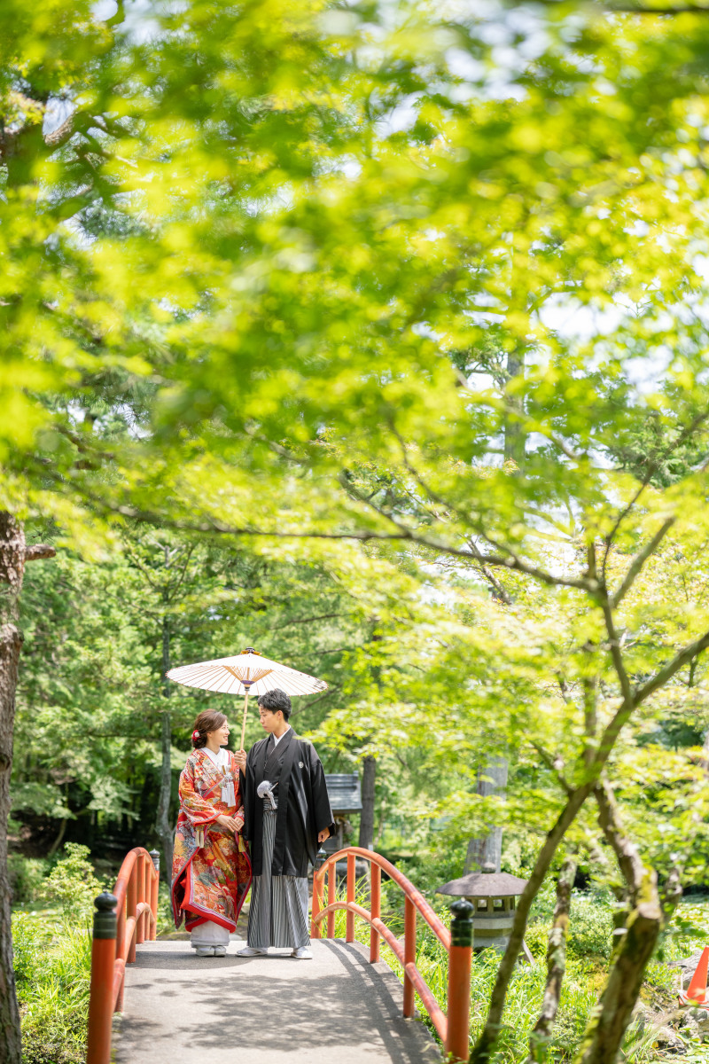 夏の２着プラン