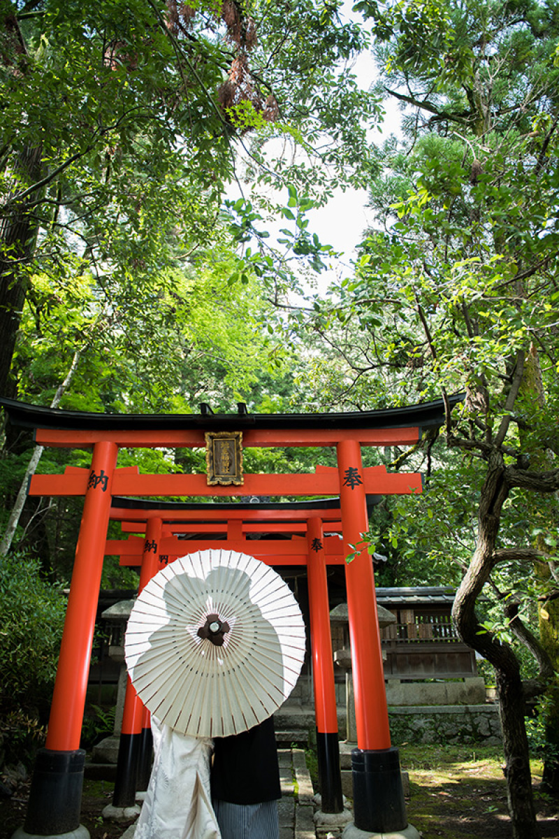 自然豊かな写真