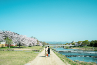 京都満喫の桜ロケーション