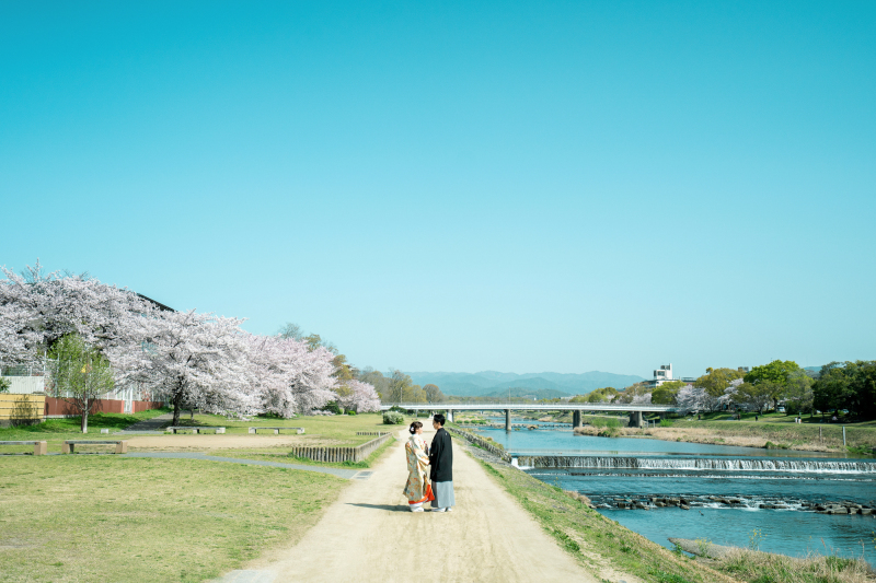 京都満喫の桜ロケーション