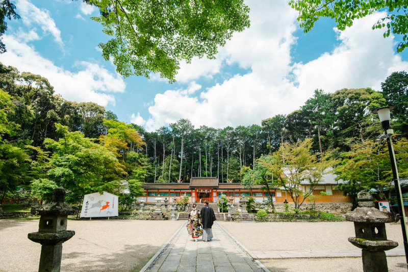 ゆっくりとした撮影