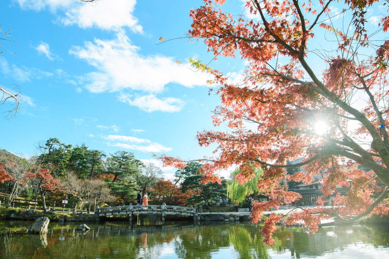 １２月の京都の公園